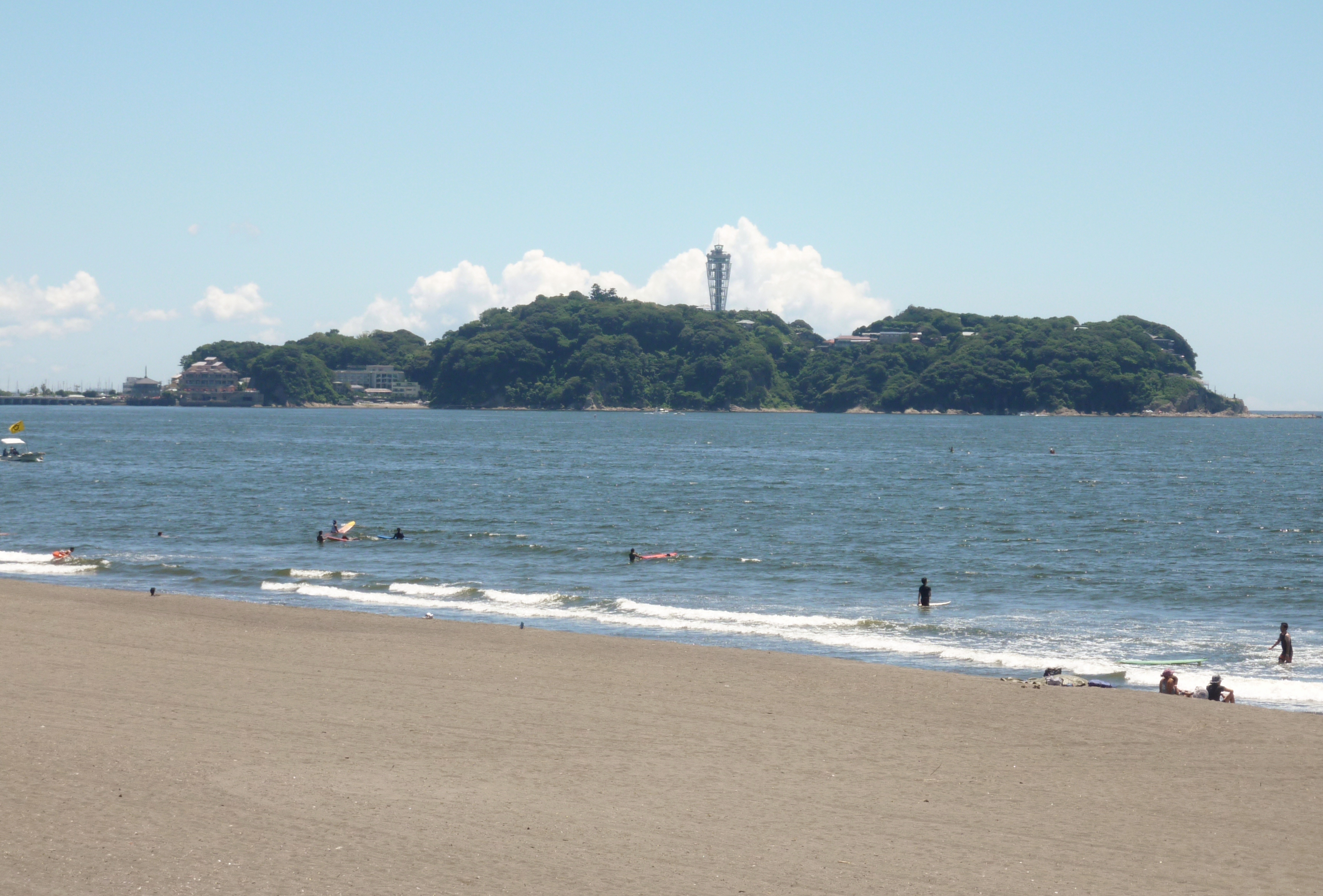 江の島　貝作